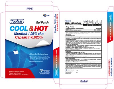 Image Of Carton (Cool And Hot Carton)